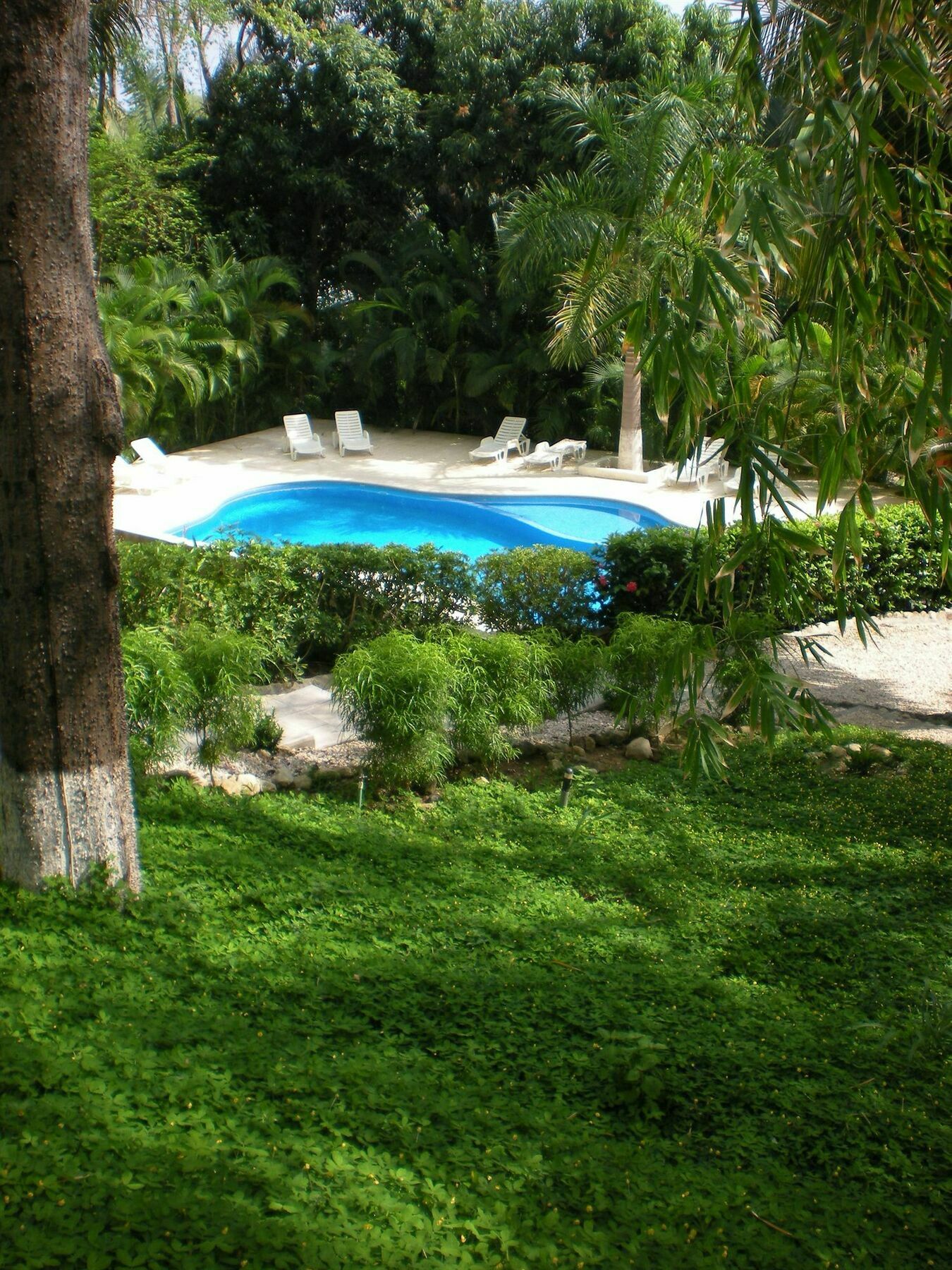 Esencia Hotel And Villas Playa Santa Teresa  Exterior foto